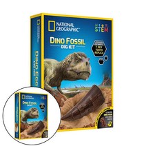줌퍼닉 화석발굴 공룡이빨 보석캐기 보석캐기장난감