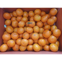 제주 고당도 감귤 노지 조생귤 로얄과 5kg 10kg, 로얄과5kg