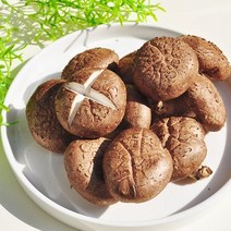 장흥 생표고버섯 1kg 최상급, 없음