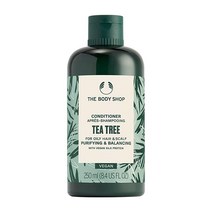The Body Shop Tea Tree 퓨리파잉 & 밸런싱 컨디셔너 지성 모발 및 두피용 비건 240ml(8.4액량 온스) 더바디샵