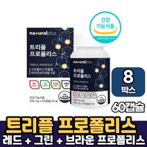식약처 인증 프리미엄 레드 그린 브라운 푸로폴리스 트리플 프로폴리스 식물성 캡슐 츄어블 추어블 타입 영양제, 8박스, 트리플프로폴리스 x 60캡슐
