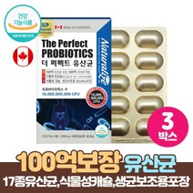 100억 유산균 프로바이오틱스 프롤린 락토바실러스 플란타룸, 3박스, 60캡슐