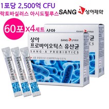 루테리 유산균 여성 유산균 락토바실러스 애시도필러스 리스펙타 프로바이오틱스 프리바이오틱스 분말 가루 모유유래 플란타룸 가세리 혼합 생존 장내유익균, 4박스, 60포