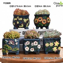 캐릭터화분 귀여운 이쁜 곰돌이 다육이 식물 꽃 도자기, 브라운 백화제방 5종 세트