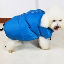 카푸 애견 드라이룸 드라이어 드라이 펫드라이룸, 블루, S