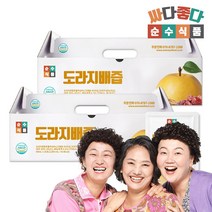 도라지배즙 2박스 50포 배 도라지 생강 선물포장 순수식품, ★선착순★[8박스/총200포] 도라지배즙
