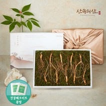 6~10년근 국내산 산양삼 산삼 산양산삼 장뇌삼 장뇌산삼, 6년근 실속형 10뿌리 (1상자)