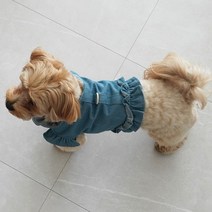 이구사공 강아지 청 데님 자켓 청치마 원피스 소형견 하네스옷, 01_데님 청 자켓, 연청