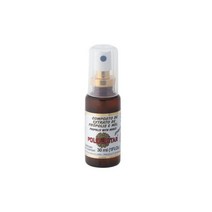 폴리넥타 Polenectar 브라질 그린 프로폴리스 스프레이 30ml, Polenectar 브라질 그린 프로폴