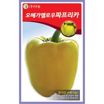 새론 삼척 오이 씨앗 50립 - 가시오이 오이씨앗 야채씨앗 채소씨앗 채소재배 종묘 종자 베란다 텃밭 씨 씨앗 호박 방울토마토 수박 참외, 23_다농_오메가 옐로우파프리카(10립)