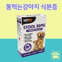3개월 이상 강아지 똥먹는 치료제 식분증 방지제 식분증약 호분제