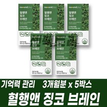 기억력 혈행 플라보놀배당체 은행잎추출물 비타민미네랄 플라보노이드
