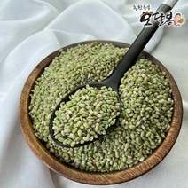 힘찬농부 2022년 국산 녹미 녹진주 녹색쌀, 1포, 5kg