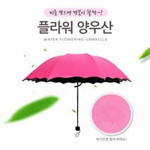 밑단 모양 특이한 선물용 이쁜 우산 튼튼한우산 무난