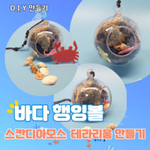 DIY 바다 행잉볼 테라리움, 1개