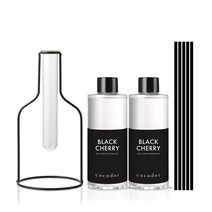 코코도르 와이어 화병/블랙/중 + 리필액 200ml X 2개, 0001_와이어화병/블랙+스틱33/5P/블랙, 14_리필200ml/플라워블로썸X2