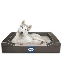 Sealy 씰리 Lux 4중 정형외과용 강아지 침대 쿨링 젤 포함, NAVY_Medium