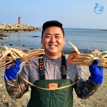 제철 대게 홍게 자숙 박달 연지 붉은 포항 구룡포 선주직송, [신선출발]홍게(자숙찜), 박달홍게(대)_5마리(400g)_수율80%내외, 5개