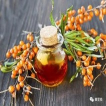비타민 토너 안티에이징 무알콜 무색소 200ml