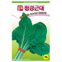 아시아종묘 근대씨앗 청경근대 (5g)