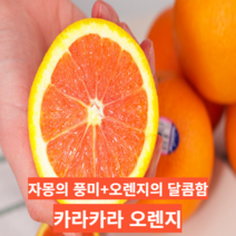 [새콤달콤자몽오렌지] 마미템 카라카라 오렌지, 중과 4kg, 1개
