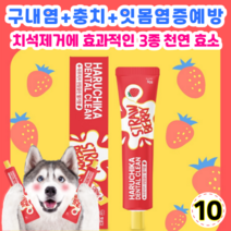 펫생각 하루치카 덴탈크린 치약 딸기향 맛 강아지 치석 구취 구내염 제거 딸기향 맛, 10개
