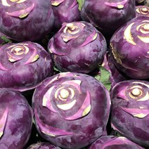 채풀 국내산 햇 적콜라비 고당도 3kg 5kg 10kg, 3kg(4과~6과)