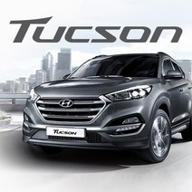 올뉴투싼 LED -번호판등만 구매(파노라마타입), 블루화이트, 1개