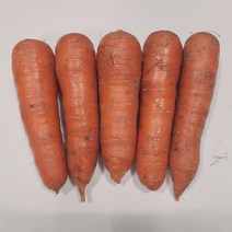 국내산 햇흙당근 3kg 5kg 10kg, 3kg(중품), 1개
