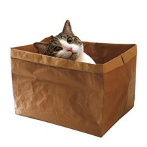 브리더랩 우다다 종이 고양이바스켓 장난감