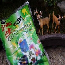 식물 영양제 분재 제라늄 거름 활생 난 화분영양제