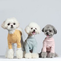 도매창고 애견옷 터틀넥 목폴라 캐주얼 강아지옷 가을옷 겨울옷 올인원 반려동물 애견의류 코튼 티셔츠 CP124, CP124-핑크