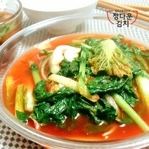 [정다운김치] 국물맛일품 유튜브방송에서 인정한그맛 얼갈이열무물김치, 1개