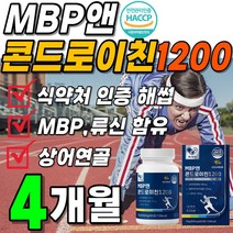 식약처 인정 해썹 MBP 콘드로이친 1200 엠비피 유단백 추출물 분리 유청 단백질 농축 프로틴 류신 로이신 락토페린 콘드라이친 콘도로이친 콘드로이드 콘레이티 1박스 약 1개월분, 4박스(240정 4개월분 81200원할인)