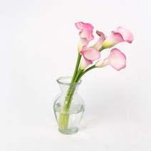 핑크 생화 카라 직배송 꽃배달 홈 인테리어 전국택배 꽃 정기구독, 화요일 도착(일요일까지 주문)