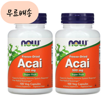 나우푸드 아사이베리 500m.g 100배지개 2통 Acai berry 동결건조 팜베리, 2개, 100정, 100정