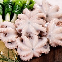 국내산 활 쭈꾸미 당일조업 생물 알배기 주꾸미 1kg 2kg, 활 쭈꾸미 1kg