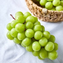 산지직송 쭌이네 당도보장 샤인머스켓 1kg/2kg, 샤인머스켓 2kg(3-4수-대), 1개
