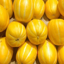 고씨네 특급 개구리참외10kg 꿀참외 꼬마참외 참외, c룩어라운드 1, c룩어라운드 본상품선택
