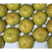 고당도 태추단감 달콤 아삭한 배단감, 1박스, 2kg (중대과) 6-9과