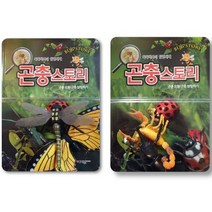 똑똑박사의 탐험세계 곤충스토리(모형 랜덤 발송):곤충 모형/곤충 탐험하기, 예지원