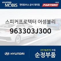 스피커&프로텍터-앞문 (963303J300) 제네시스 베라크루즈 현대모비스부품몰