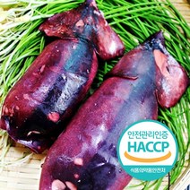 비트렌드 강원도 속초 중앙시장 오징어순대, 오징어순대 슬라이스포장 500g, 1개