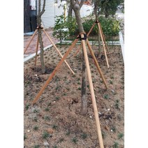 삼발이 지주목 40*1500 (3개/1조)/이각 삼각 사각 지주목/수목 지주대/지주목 공장에서 다양한 제품을 직접 생산 공급/ 대량구매 전화 상담해 주세요