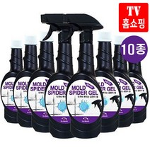 블랙스파이더 곰팡이젤 스프레이 곰팡이 제거제+스프레이건 욕실 벽 화장실 실리콘 물때 타일 욕조 세면대