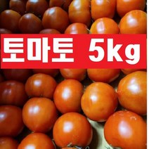 토마토5kg( ) 정품(크기랜덤), 1박스(5kg), 토마토(5kg)