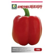노각 오이 씨앗 50립 - 웰빙오이 늙은오이 오이씨앗 야채씨앗 채소씨앗 채소재배 종묘 종자 베란다 텃밭 씨 씨앗 호박 방울토마토 수박, 22_다농_오메가 레드파프리카(10립)