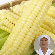 2023년 톡톡터지는 최상품 특A 햇괴산대학찰옥수수/초당/황금맛찰 3가지선택가능, 생물 대학찰옥수수20개