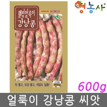 얼룩이 강낭콩씨앗 600g 줄무니 얼룩 콩 씨 채소씨앗, 얼룩이강낭콩600g(중포장)