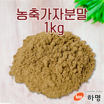 농축 가자 분말 1kg 천연염료 천연염색재료, 1000g